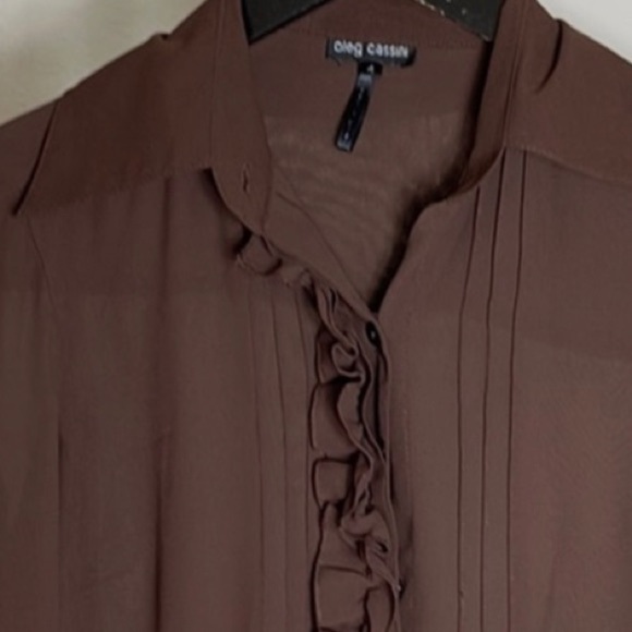 Oleg Cassini Long Sleeve Semi-Sheer Brown Ruffle Pleated Blouse | Size 4 - Picture 2 of 5